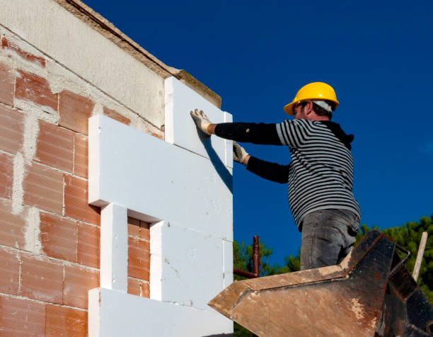 Insulation Replacement Services in Jackson, AL